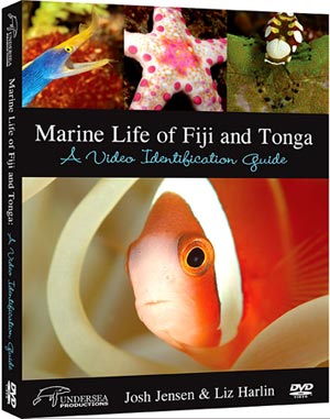 Marine Life of Fiji and Tonga, ON THE EDGE Magazine