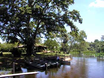 Pantanal, Brazil